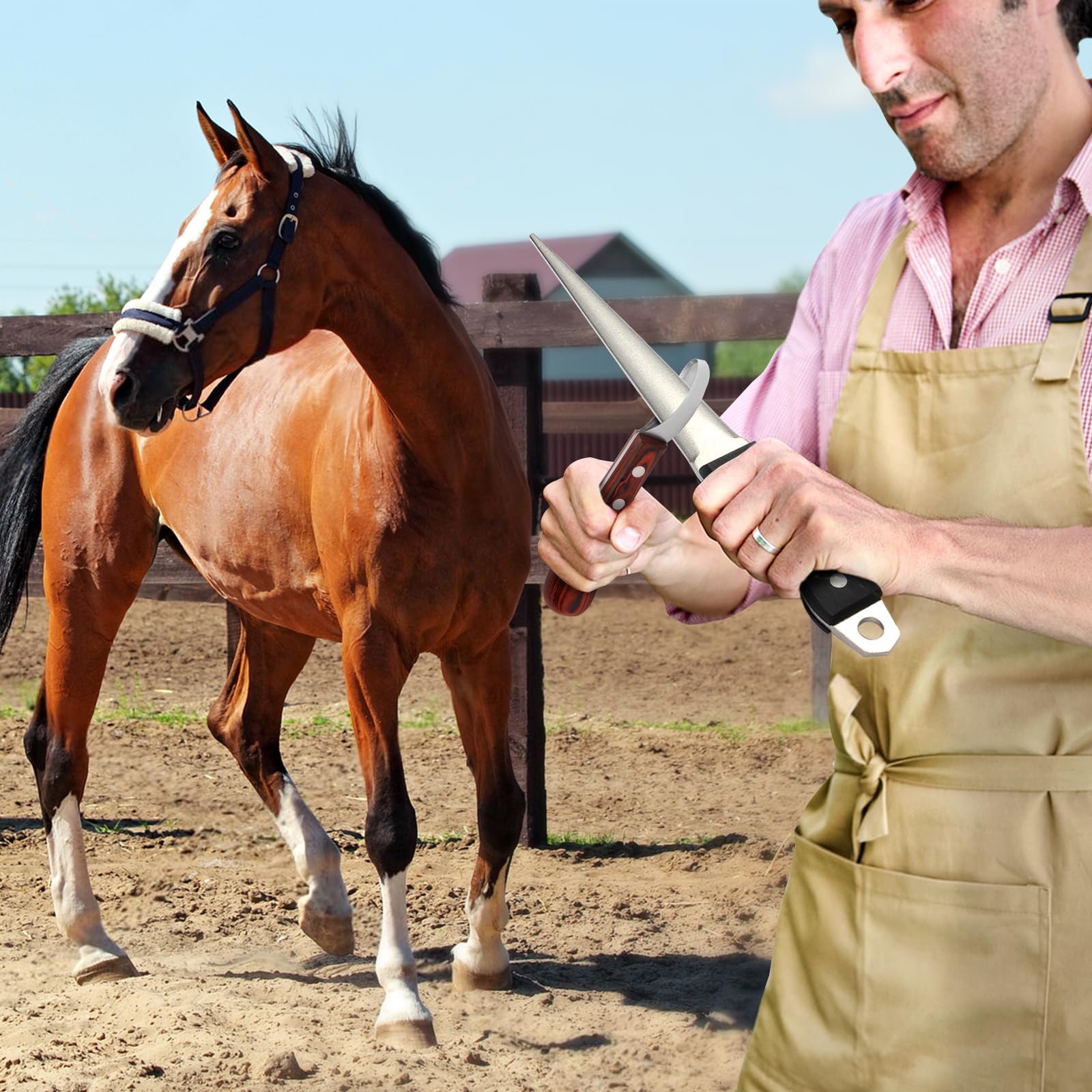 DICAFU professional hoof care tool supports consistent edge refreshment for hoof knives.