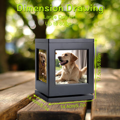 DiDiBirDi cat memorial urn in black wood honors a cherished companion