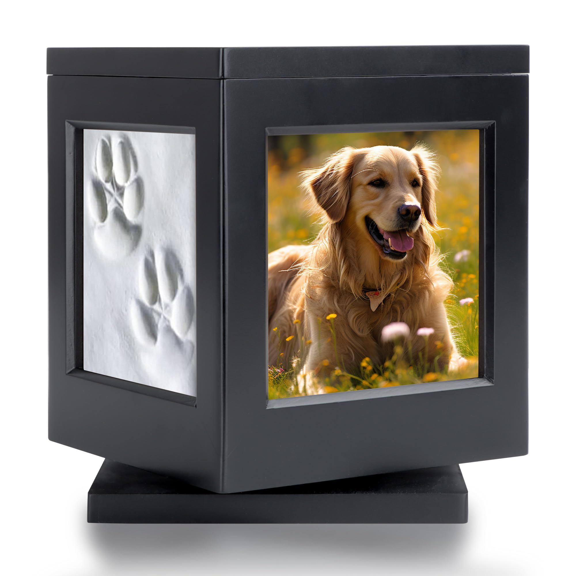 DiDiBirDi dog urn in black wood holds ashes for a dignified memorial