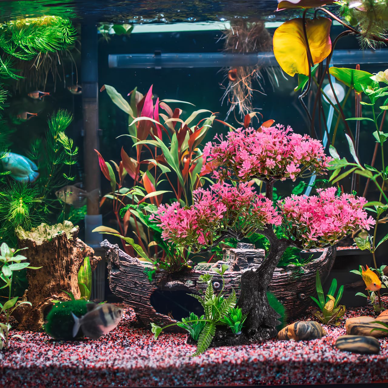 Didiseaon betta-safe soft leaves protect fins and offer a cozy hideout.