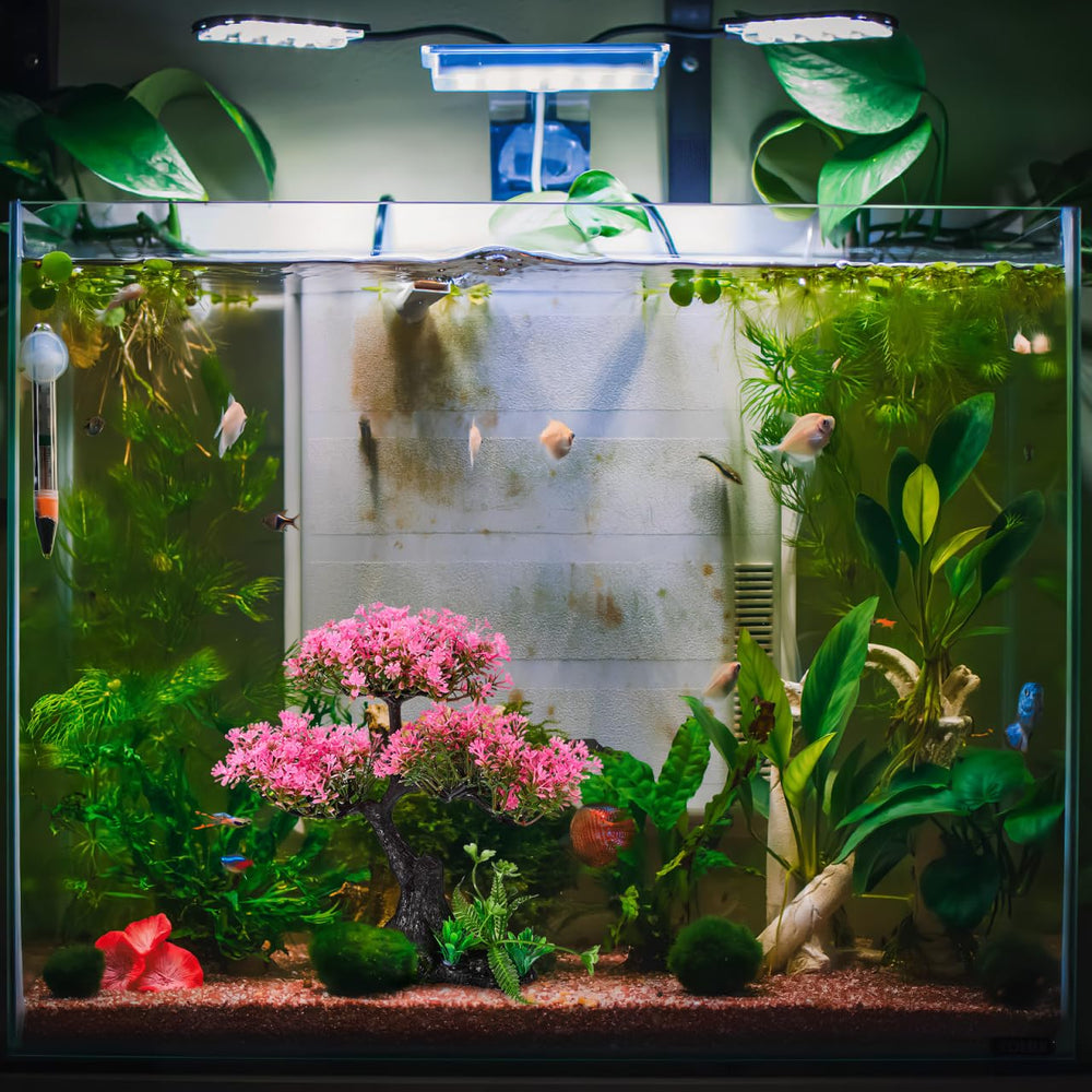Didiseaon decor fits 10-55 gallon tanks for vertical interest without crowding.