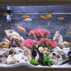 Didiseaon pink aquarium grass creates layered, natural-looking tank scenery.