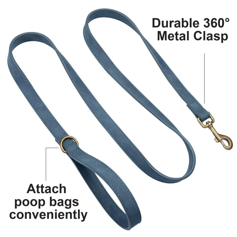Didog leash with 360 degree rotating metal clip prevents twists