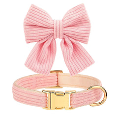 Didog adjustable-small-dogs collar provides a comfortable, secure fit.