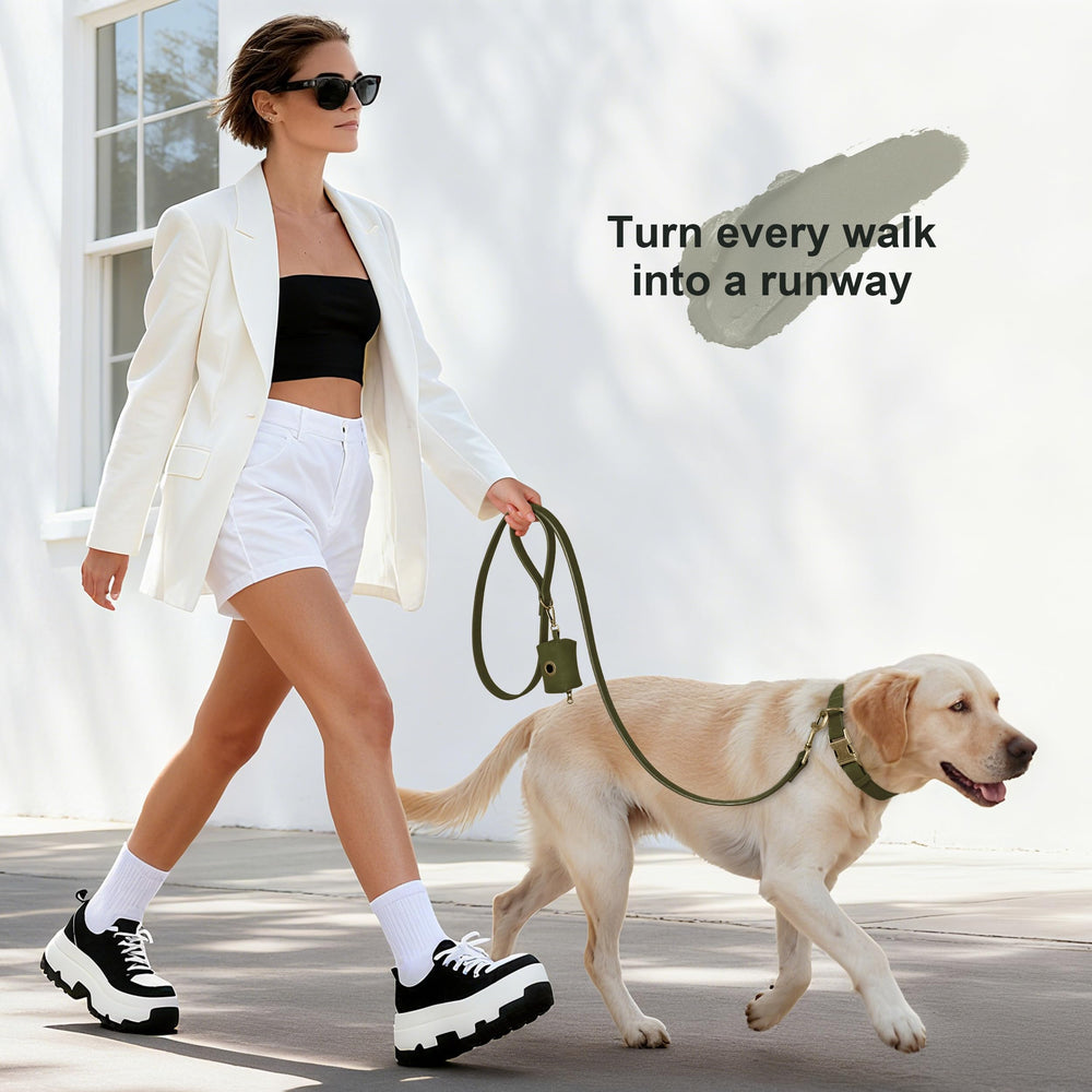 Didog adjustable dog collar fits 16-22 inch necks for comfort.
