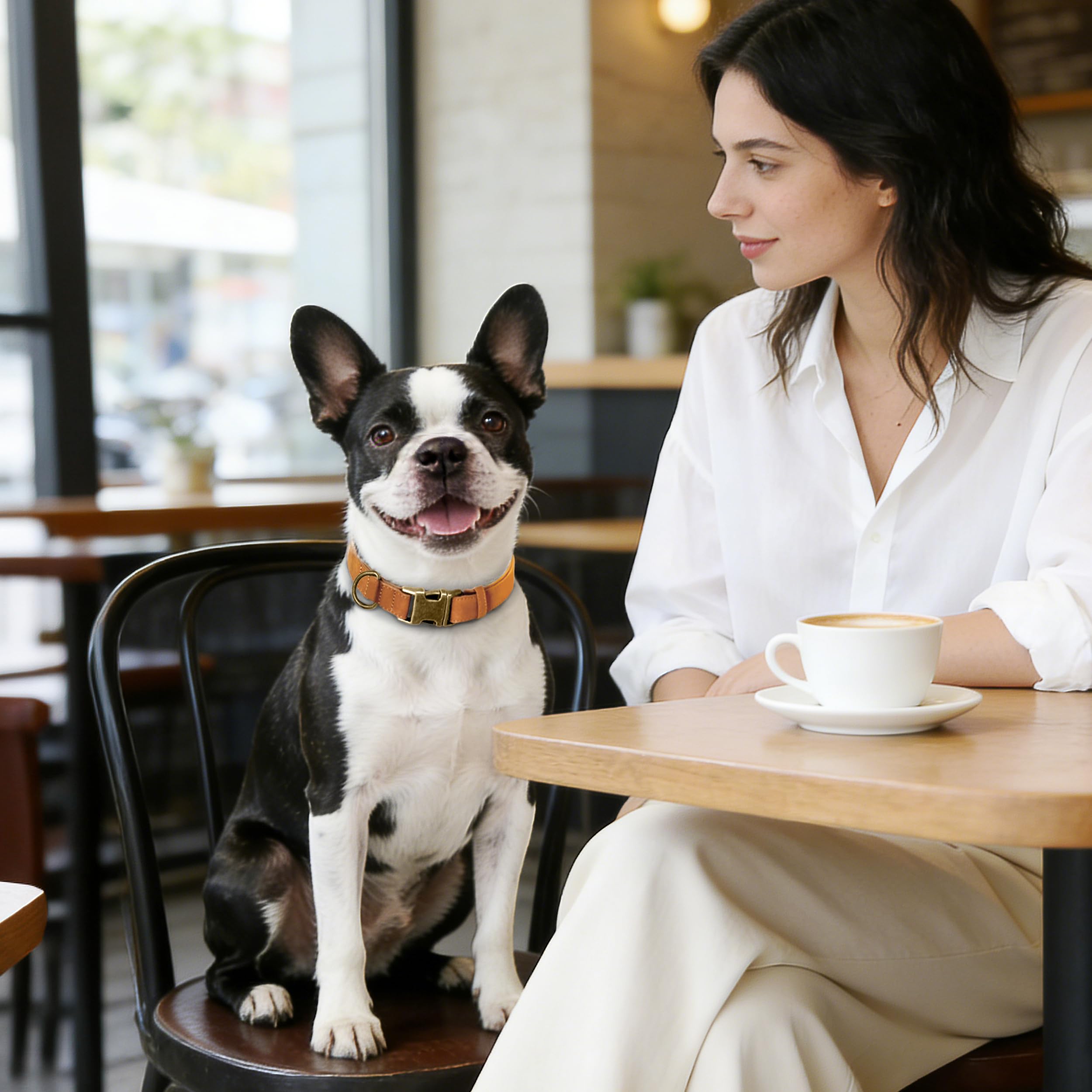 Didog adjustable PU leather collar keeps a precise fit for growing medium dogs.