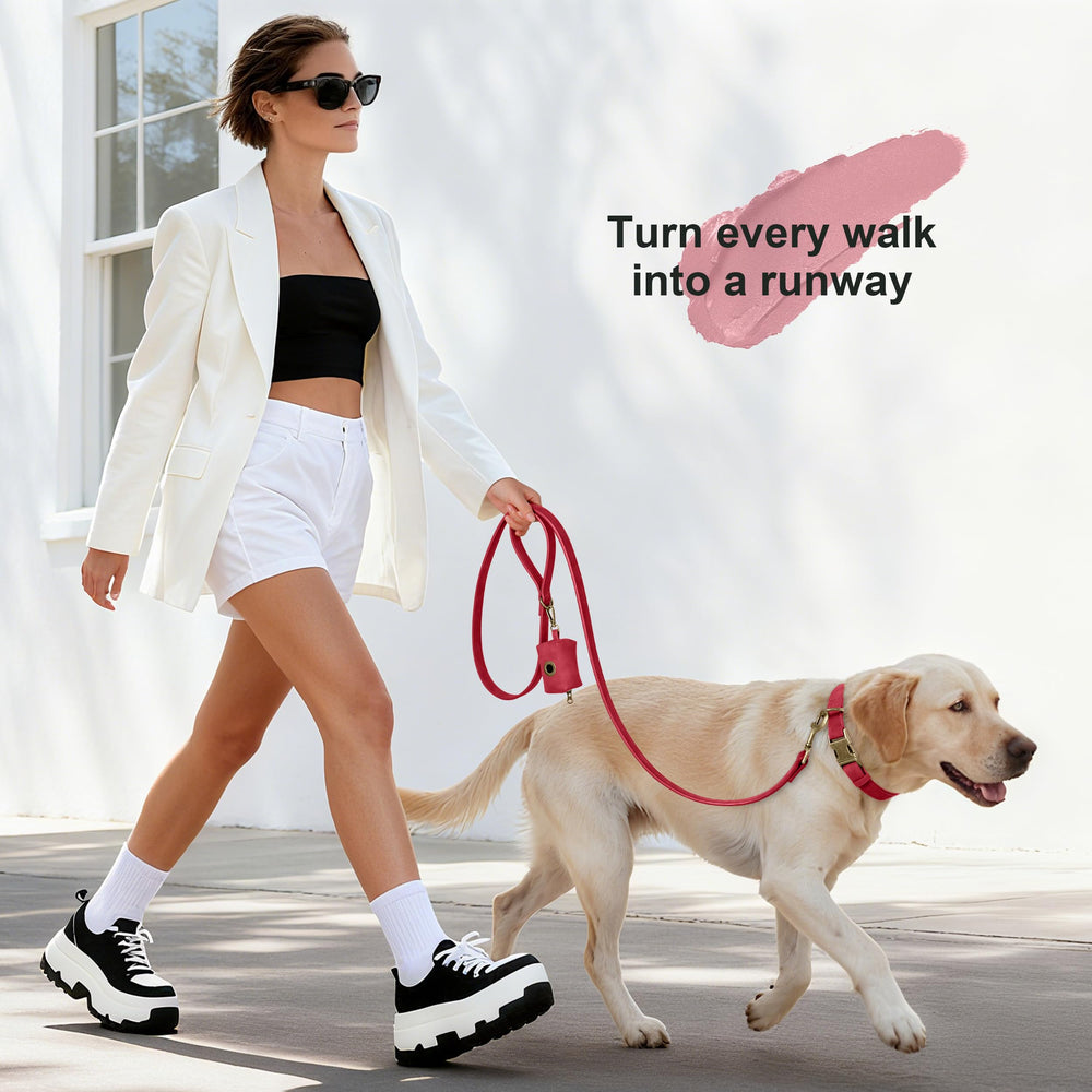Didog adjustable red collar provides a secure fit for growing dogs