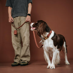 Didog adjustable strap and quick-release buckle close-up