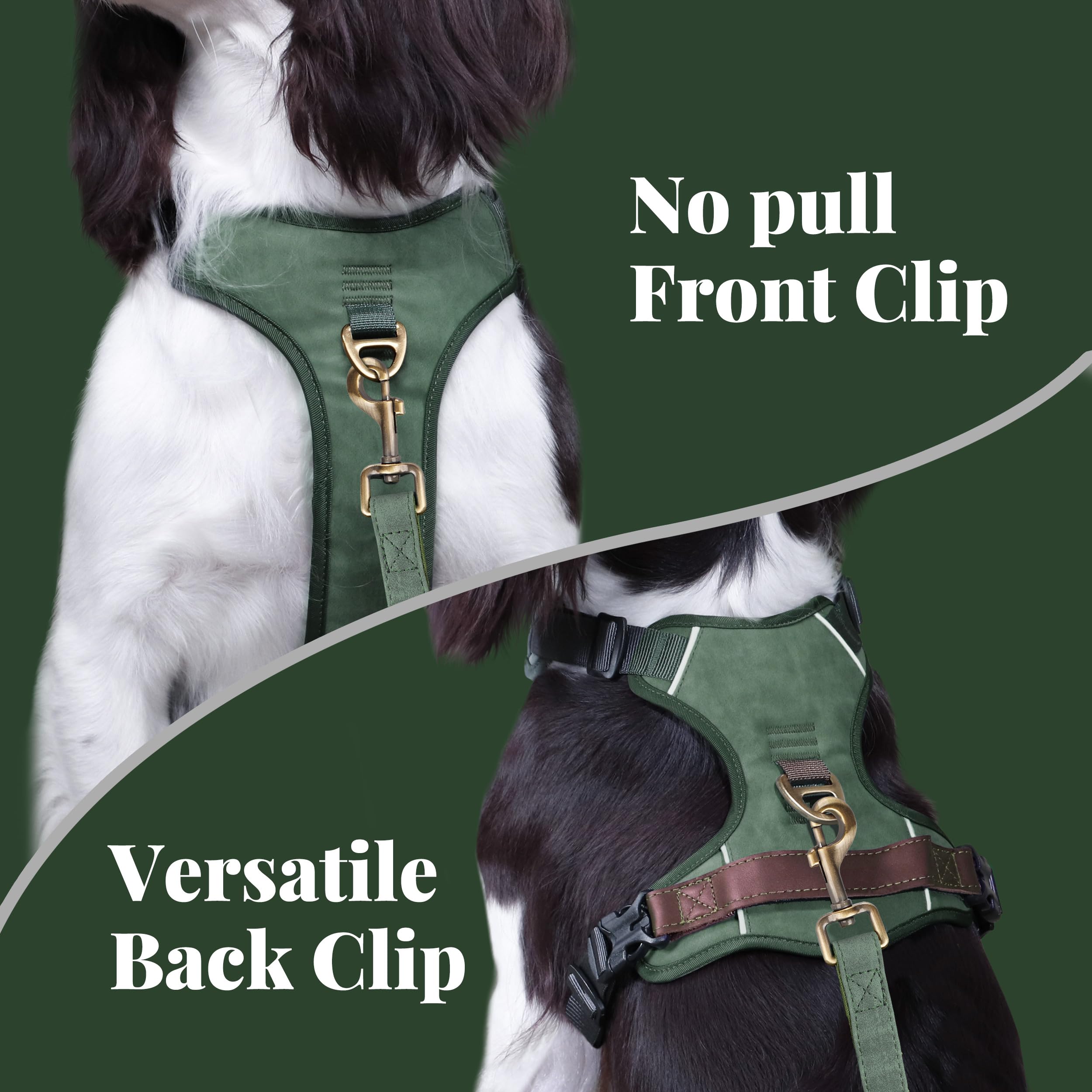 Didog harness offers breathable mesh and padding for all-day comfort.