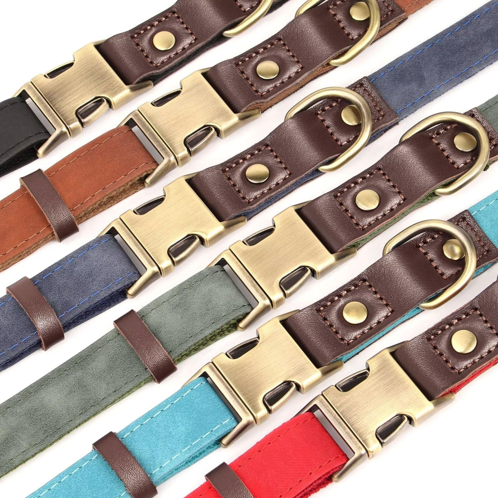 Didog classic-style collar worn by a walking large dog