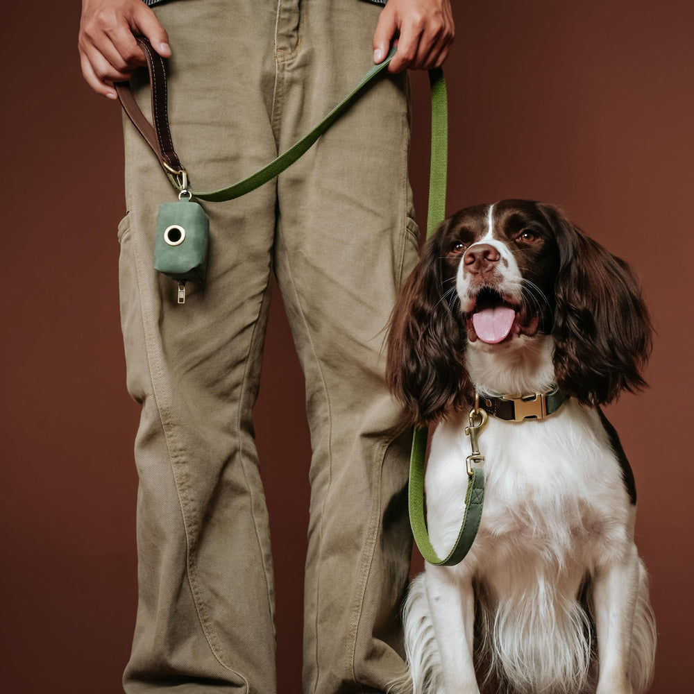 Didog easy-clean PU leather and nylon surface wipes clean quickly.