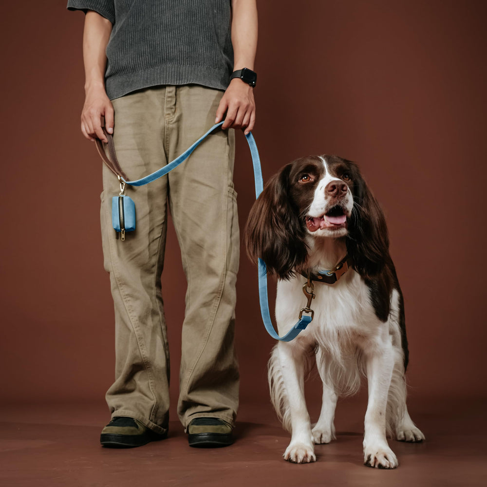 Didog collar interior nylon lining for comfortable wear