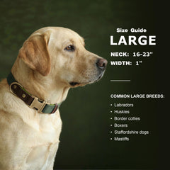 Didog skin-friendly nylon lining reduces irritation for long-wear comfort.