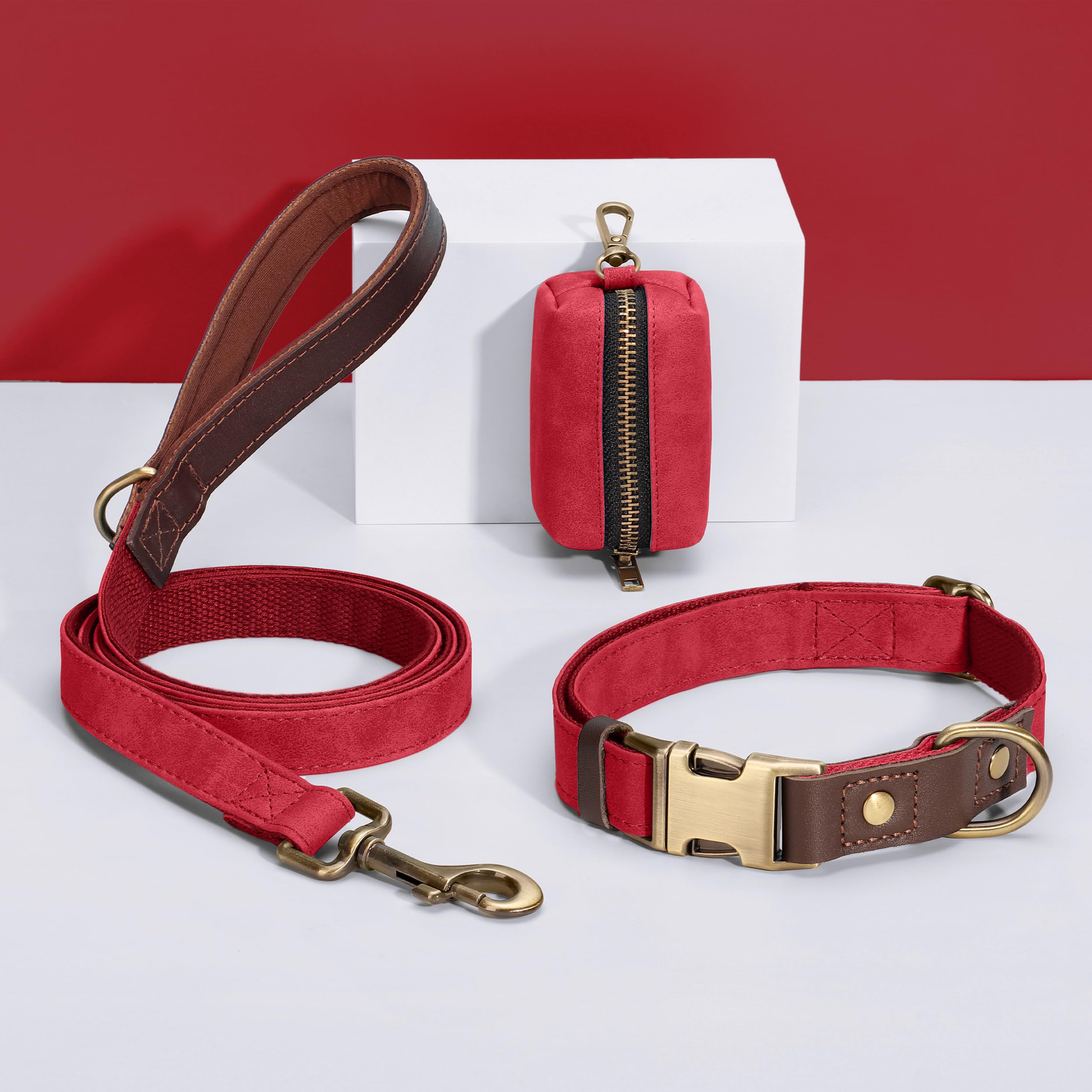 Didog D-ring leash attachment on dog collar for easy walks