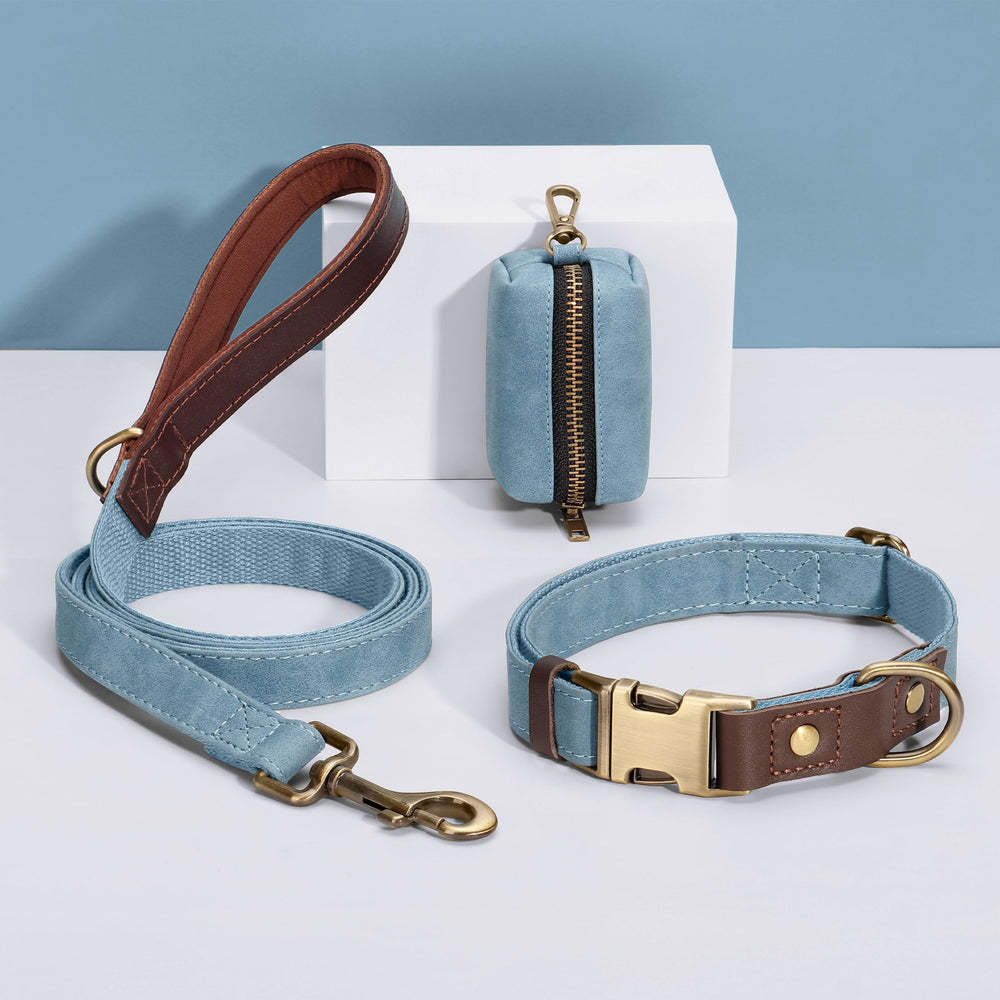 Didog D-ring with secure leash attachment on denim blue collar