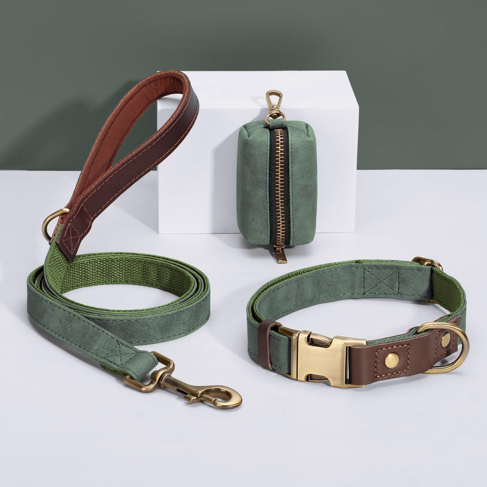Didog D-ring leash attachment provides secure leash connection during walks.