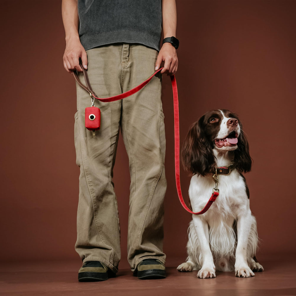 Didog dog collar with nylon lining interior for skin-friendly comfort