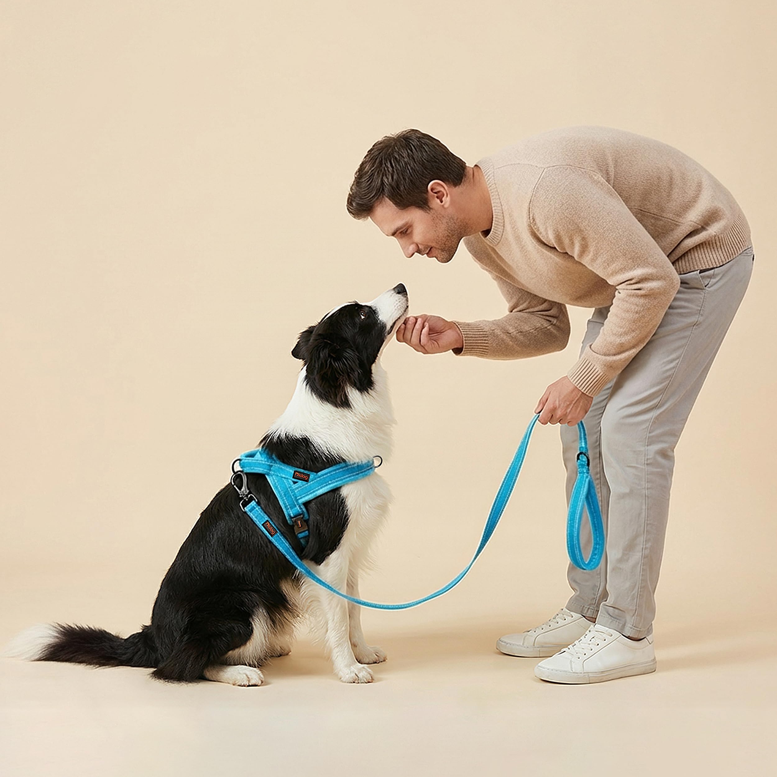 Didog durable nylon buckle and straps for long lasting use