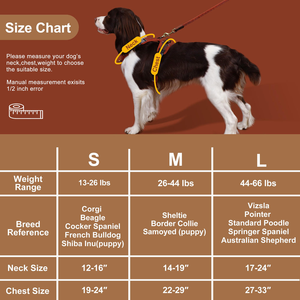 Didog durable PU leather harness built for medium dogs.