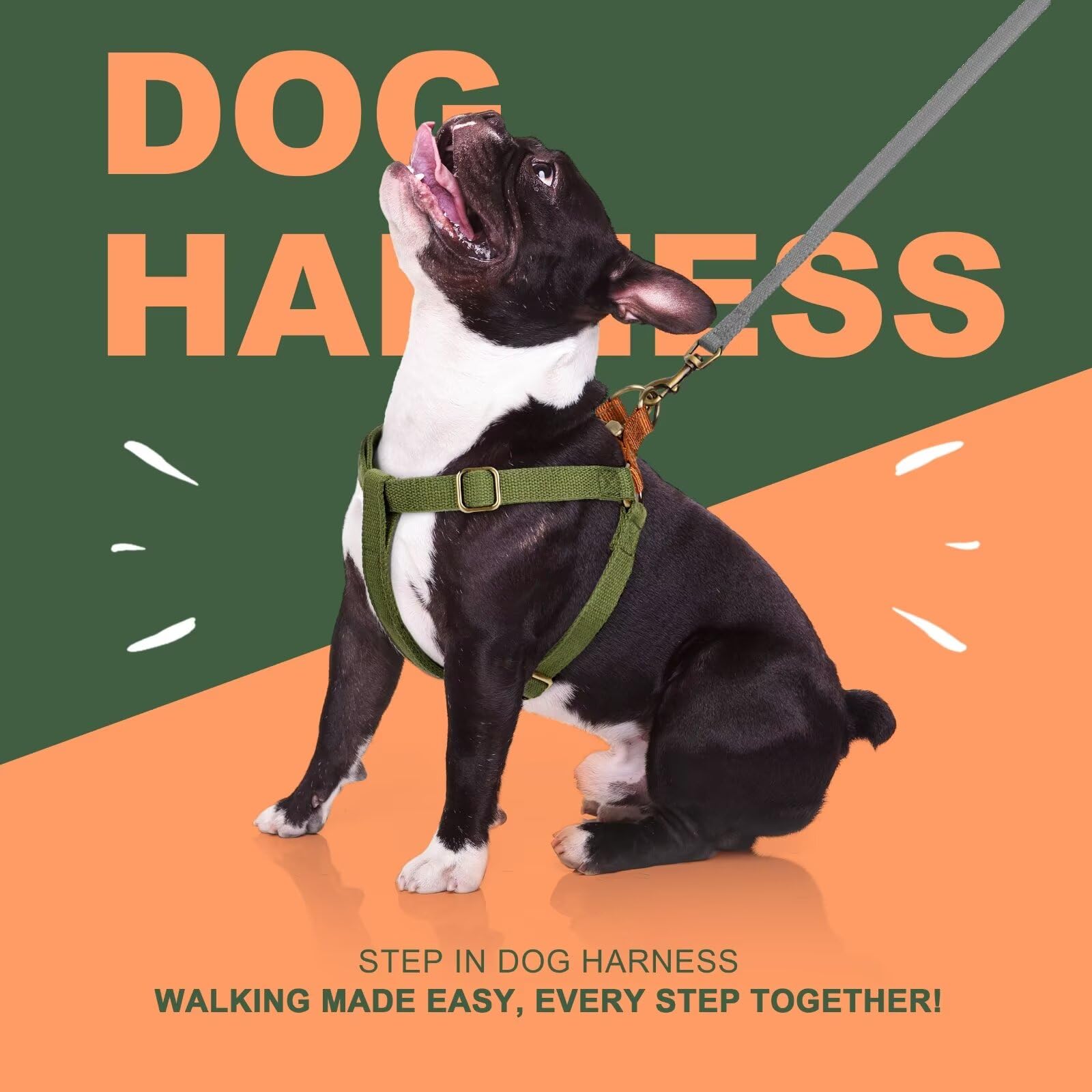 Didog durable stylish nylon harness ready for outdoor use.