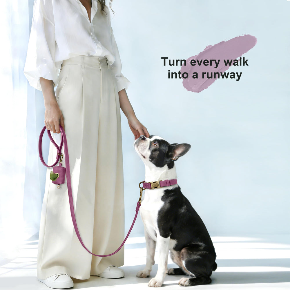 Didog easy-clean PU material resists dirt for active pets and simple maintenance.