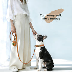 Didog easy-clean PU collar, wipe-clean surface resists dirt during outdoor adventures.