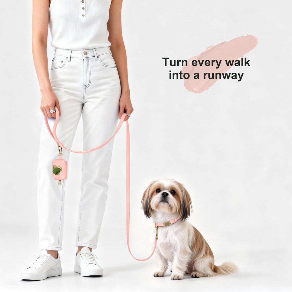 Didog easy-clean PU leather collar stays fresh with a damp cloth.