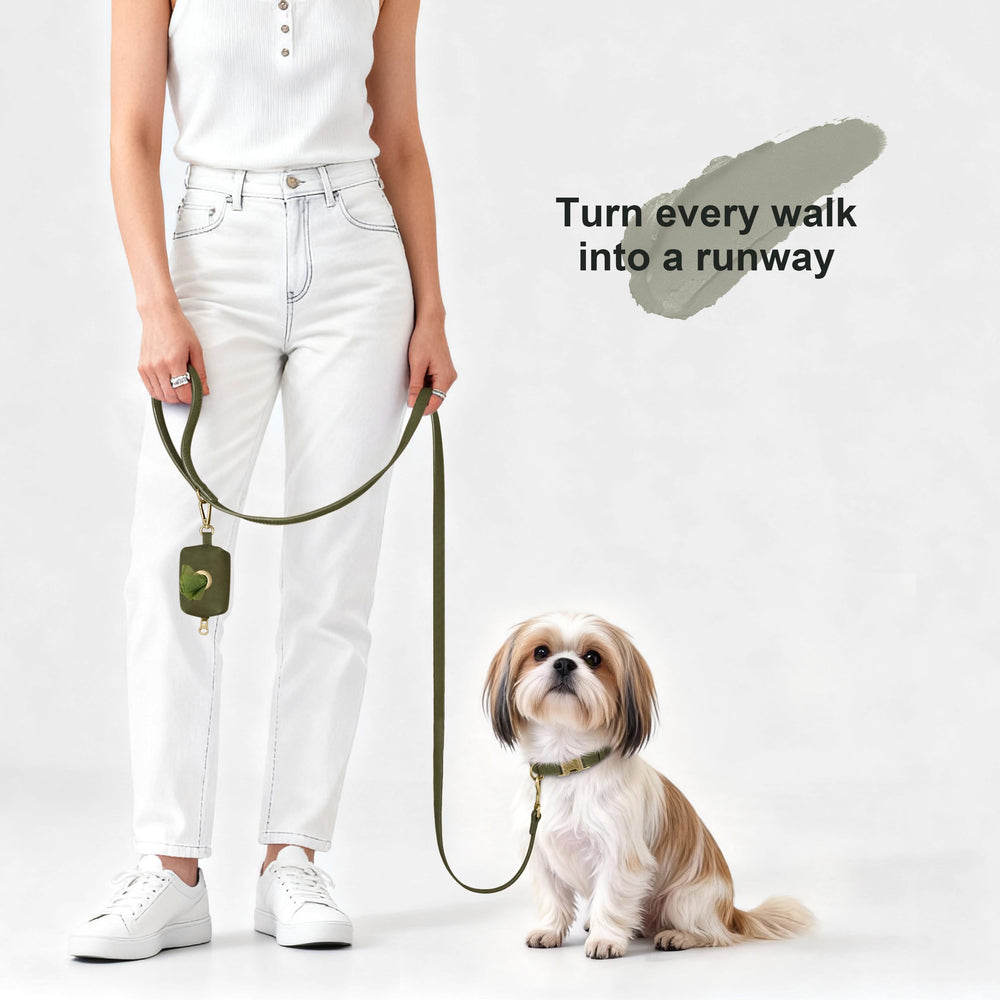 Didog easy-clean PU surface ideal after outdoor adventures for active dogs.