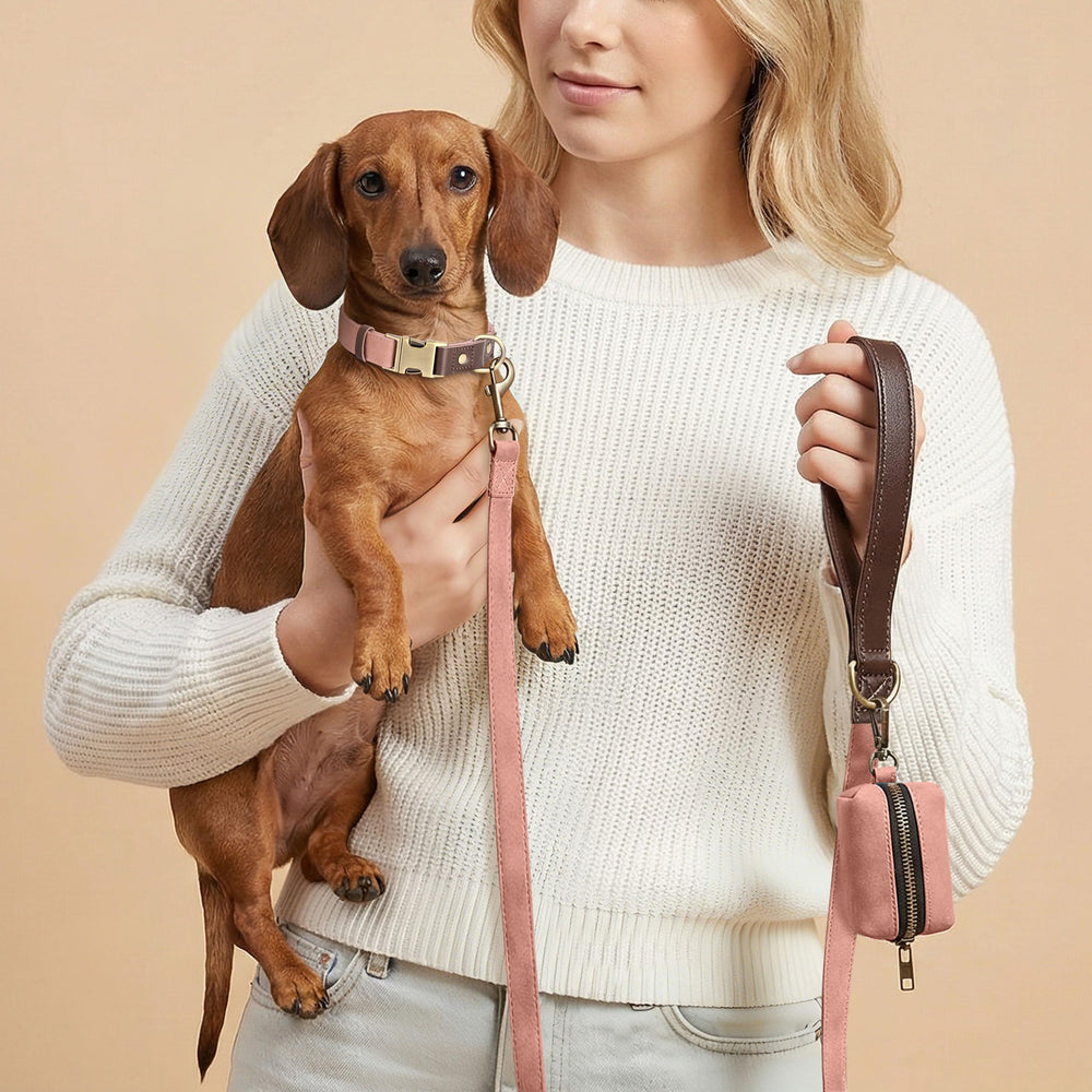 Didog easy-clean PU leather collar, wipe with damp cloth after adventures.