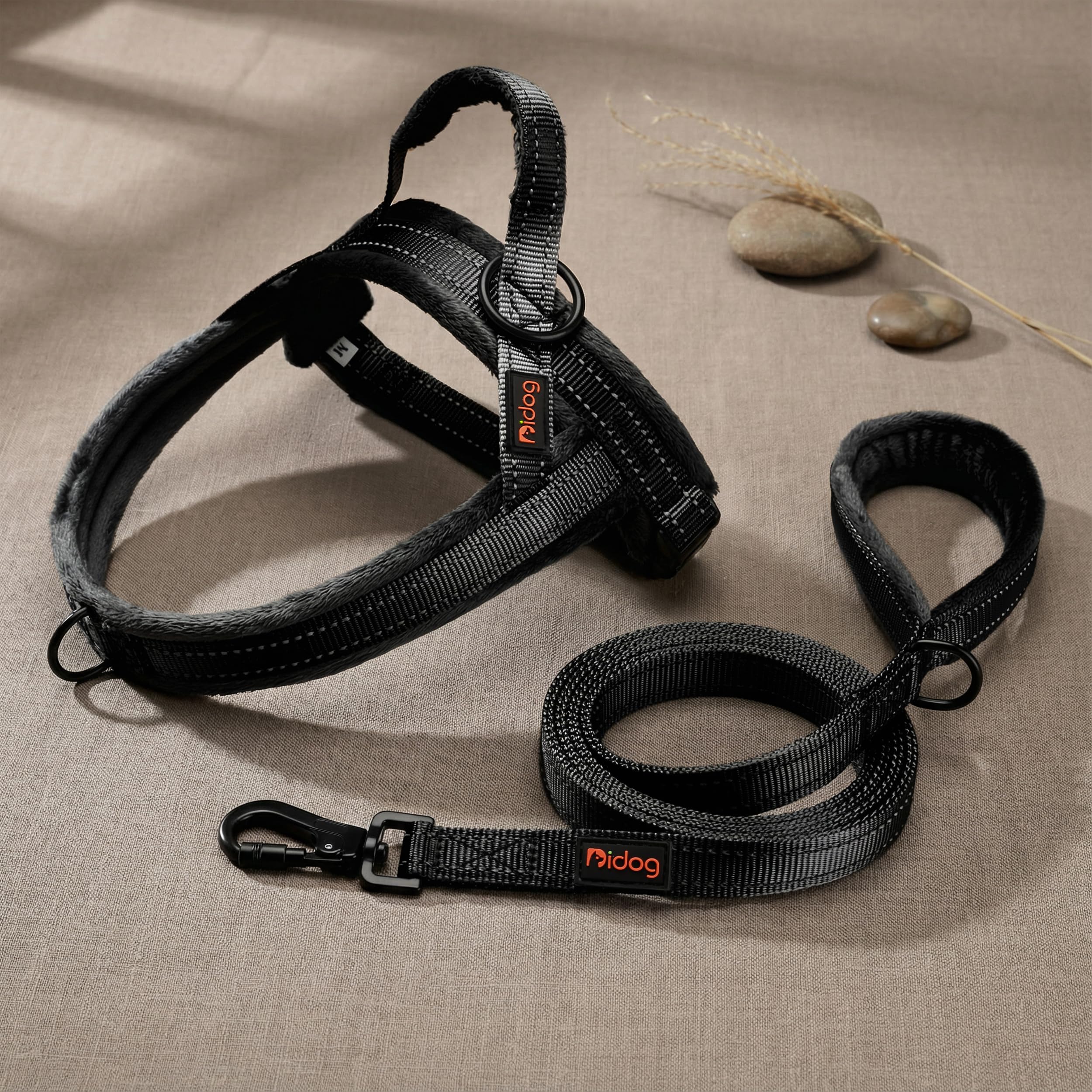 Didog easy-on-off vest style harness supports simple training sessions.