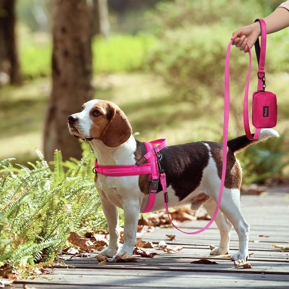 Didog Hot pink quick-fit harness adds visibility and ease.