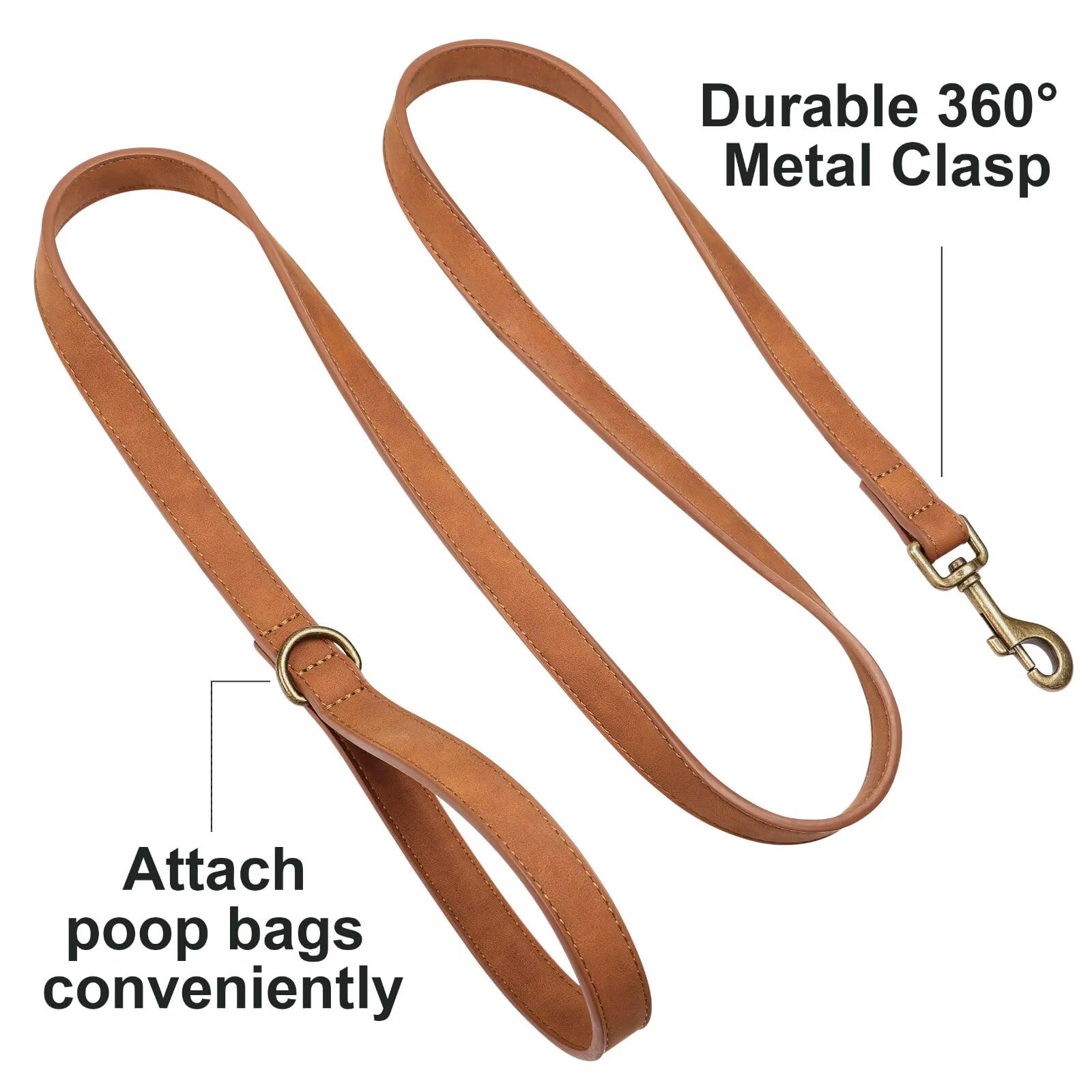 Didog 5ft small dog leash ideal for training and control
