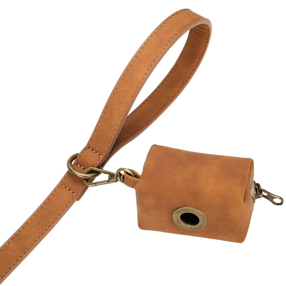 Lightweight leash for small dogs supports gentle control and comfort