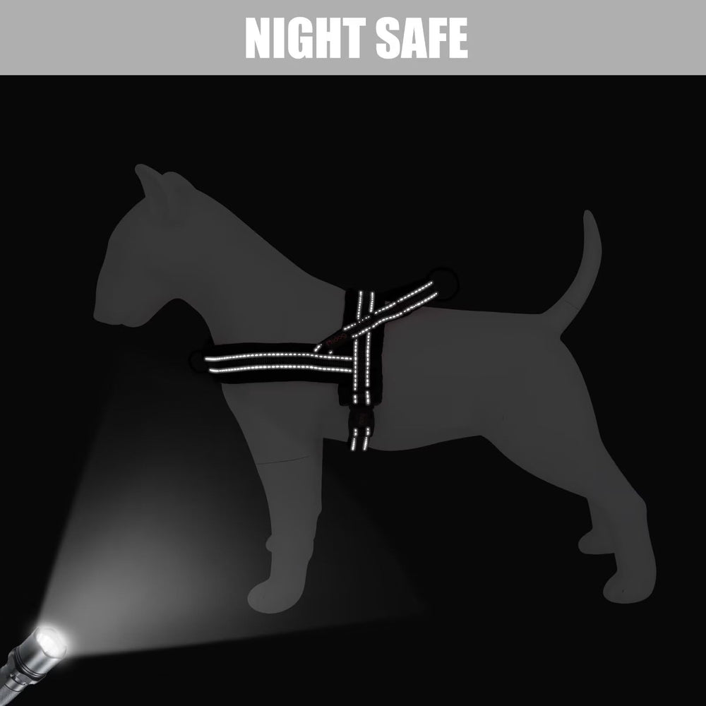 Didog lightweight design keeps dog comfortable during training and everyday adventures.