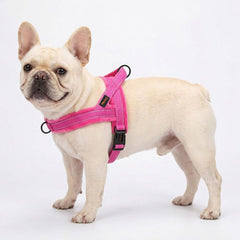 Didog no-pull front D-ring design helps reduce pulling during walks