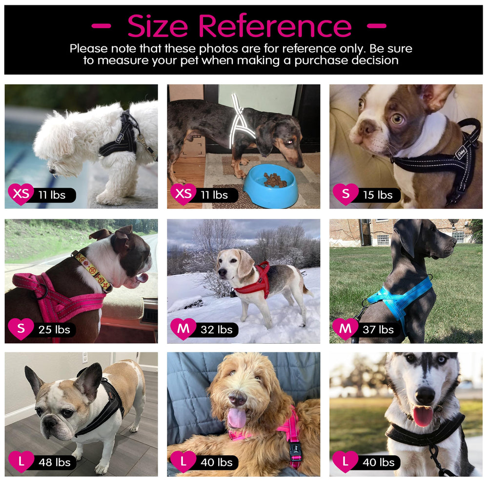 Didog No Pull hot pink color option adds style and safety