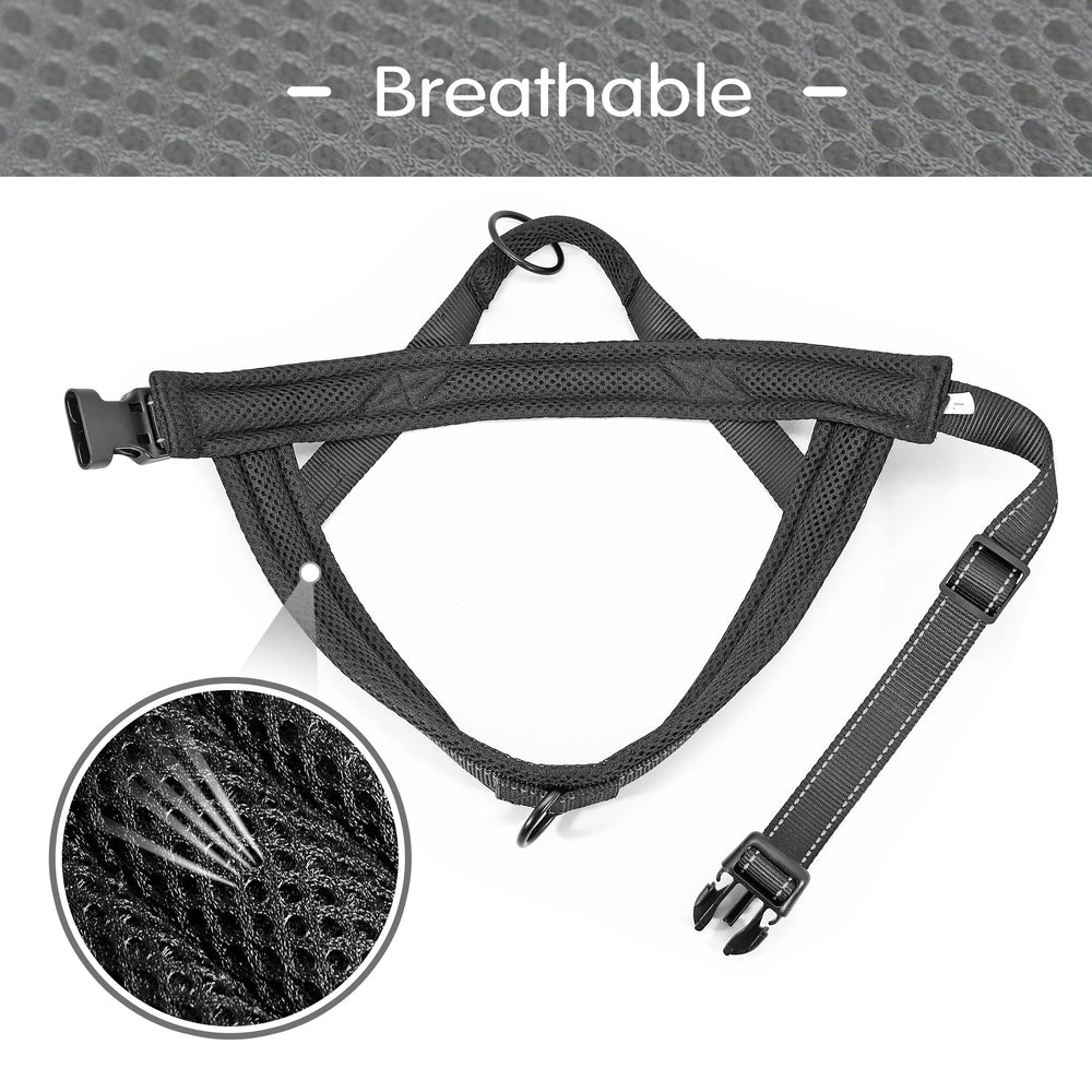 Didog harness shows double D-ring control for training and walking.