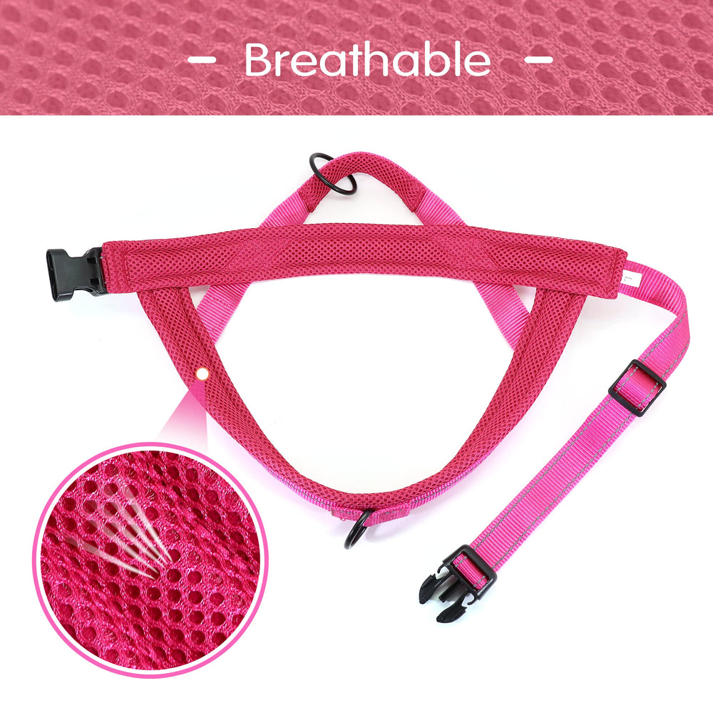 Didog No Pull Harness offers dual D-rings for training and casual use.