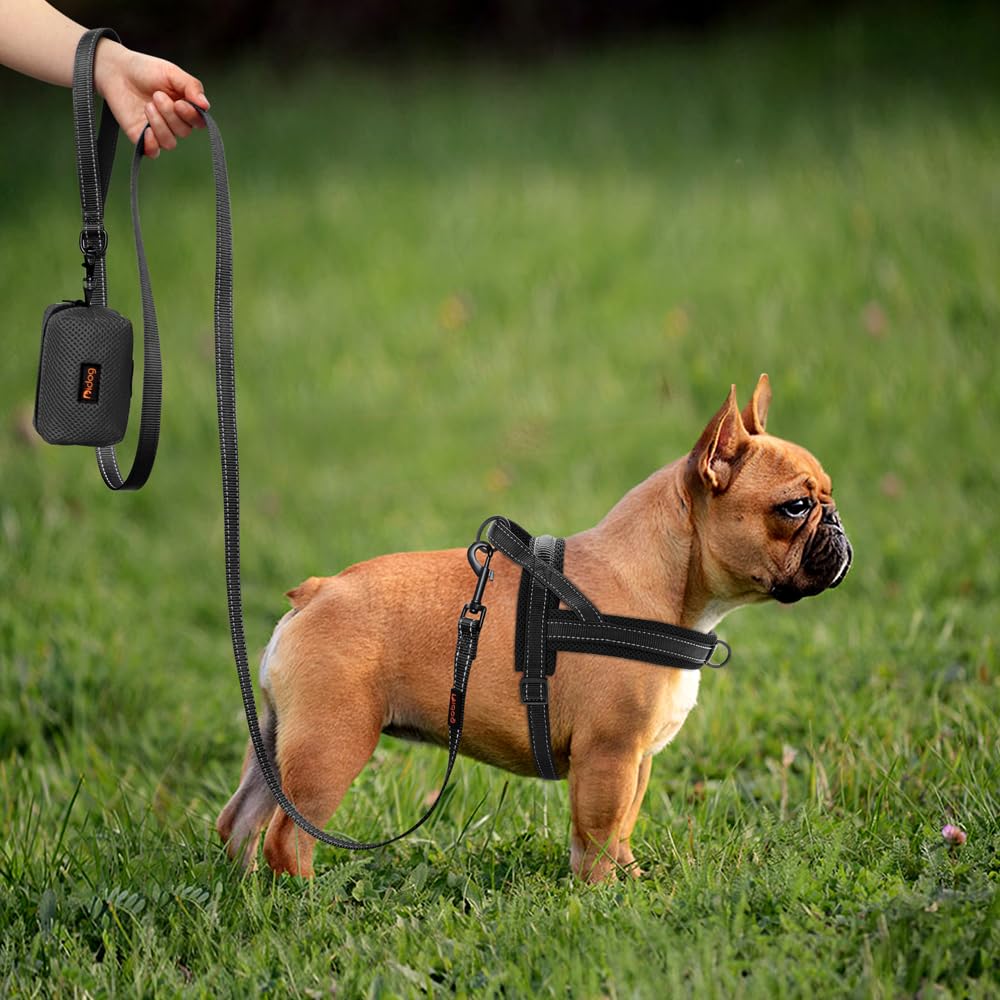 Didog harness features escape-resistant design for worry-free outings.