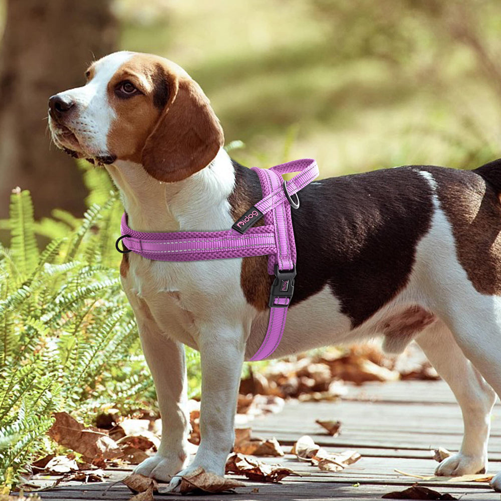 Didog No-Pull Harness escape-resistant design for secure wear