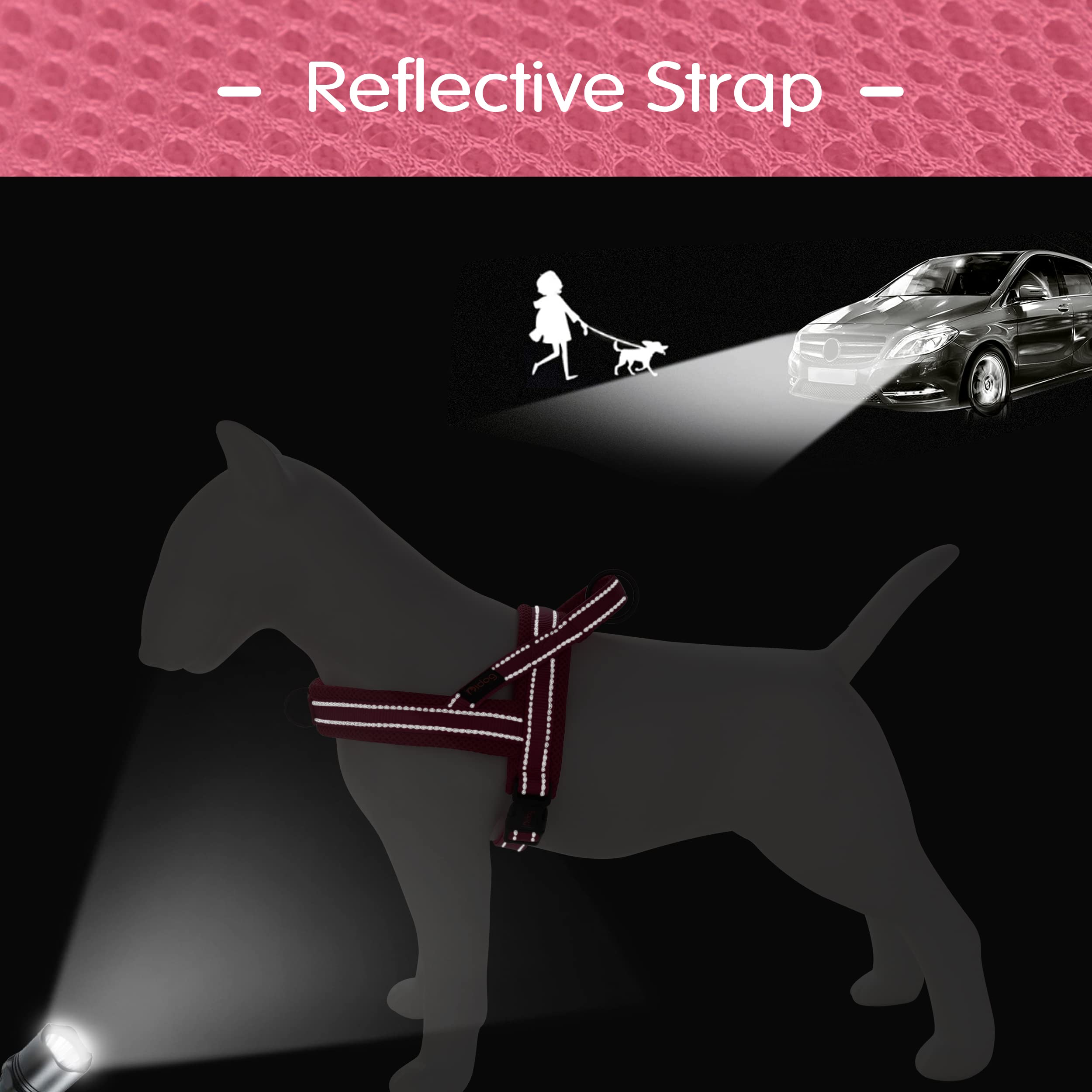 Didog No Pull Harness escape-resistant design for peace of mind during walks.