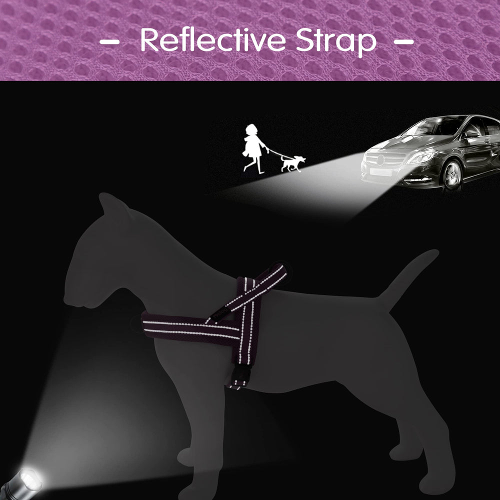 Didog escape-resistant design offers peace of mind during training