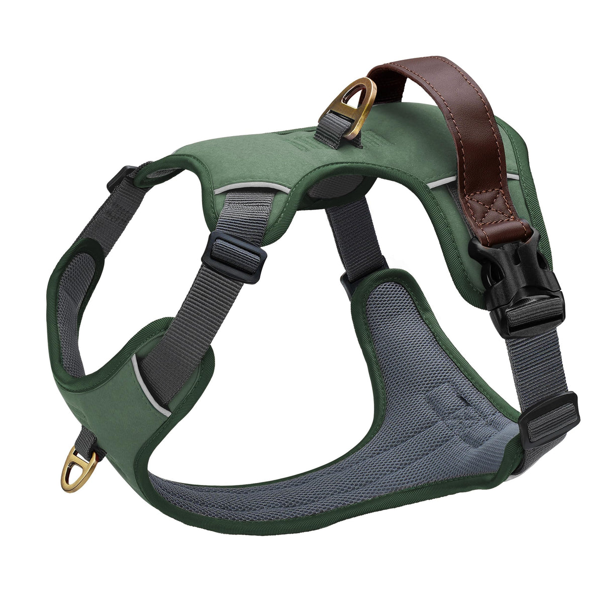 Didog No Pull Harness with front clip in green enhances control on walks.