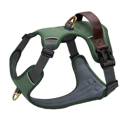 Didog No Pull Harness with front clip in green enhances control on walks.