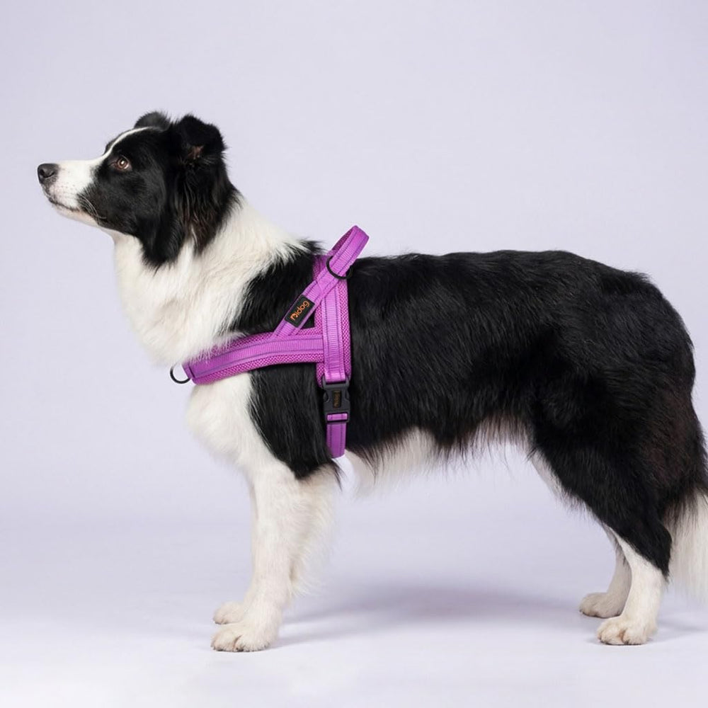 Didog No-Pull Harness with one-buckle quick-fit design for easy setup