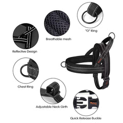 Didog No Pull Harness features one-buckle quick-fit for easy wearing.