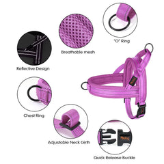 Didog No-Pull Harness reflective strips for dawn or dusk visibility