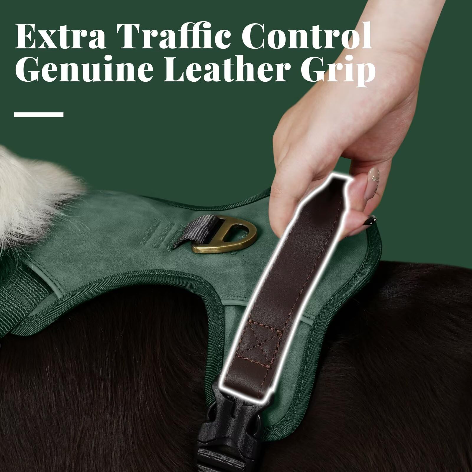 Didog No Pull Harness reflective strips in green boost visibility after dark.