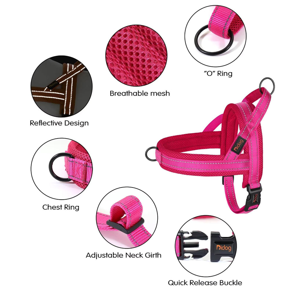 Didog No Pull harness reflective strips improve visibility at night