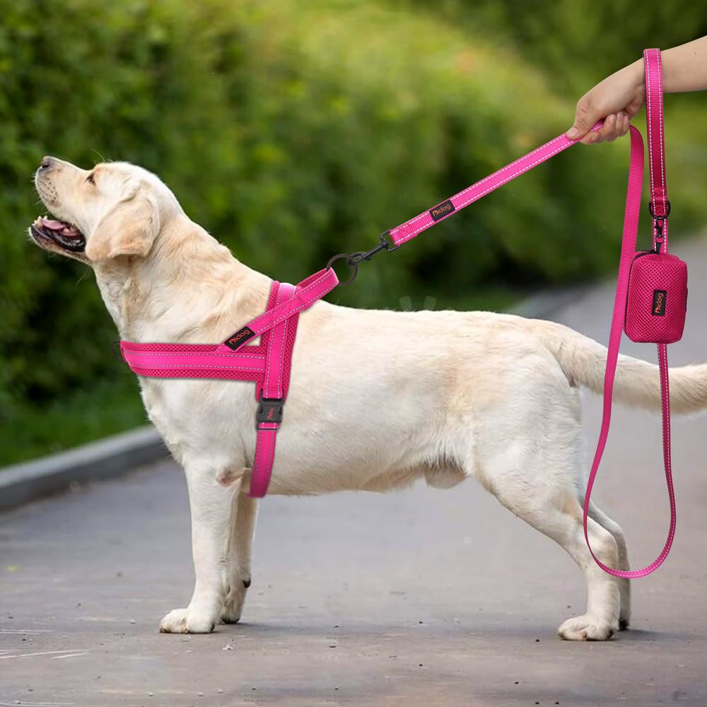 Didog No Pull harness size 26-32 inches secures a proper fit for large dogs